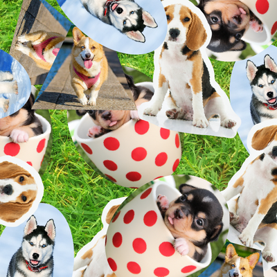 A variety of dog stickers in playful designs
