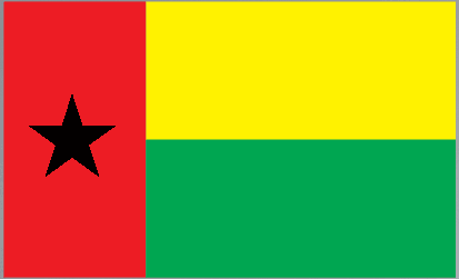 Guinea-Bissau flag sticker, rectangular with red stripe, black star, yellow and green fields