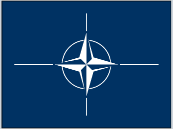 NATO flag sticker with white compass star emblem on dark blue background