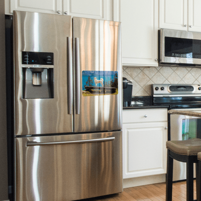 dog in a forest photo magnet on a steel double door refrigerator