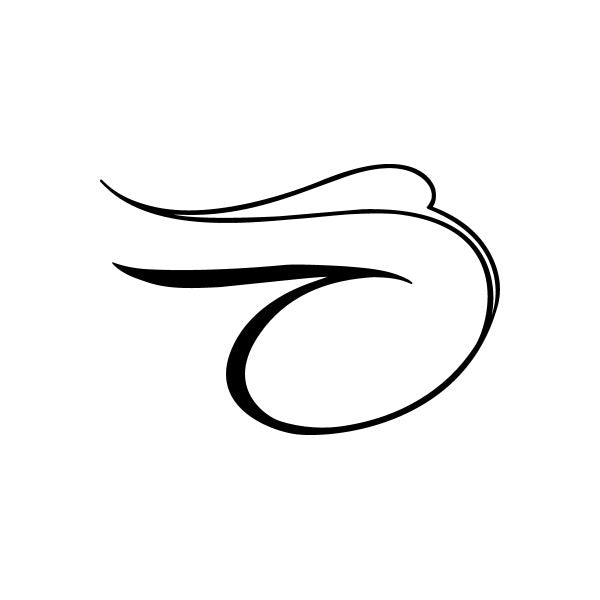 Black pinstripe-style car window vinyl decal with swooping curved lines