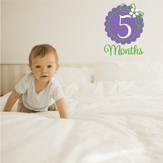 5 months wall decal with number 5 in purple circle and green floral accents