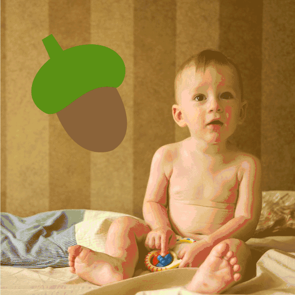 Acorn wall decal vinyl, green acorn with cap