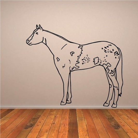 Appaloosa horse wall decal with speckled coat and outline, standing side view