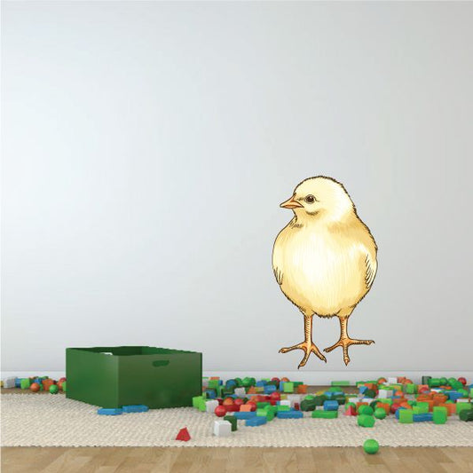 Baby chick watching sticker, standing yellow chick illustration