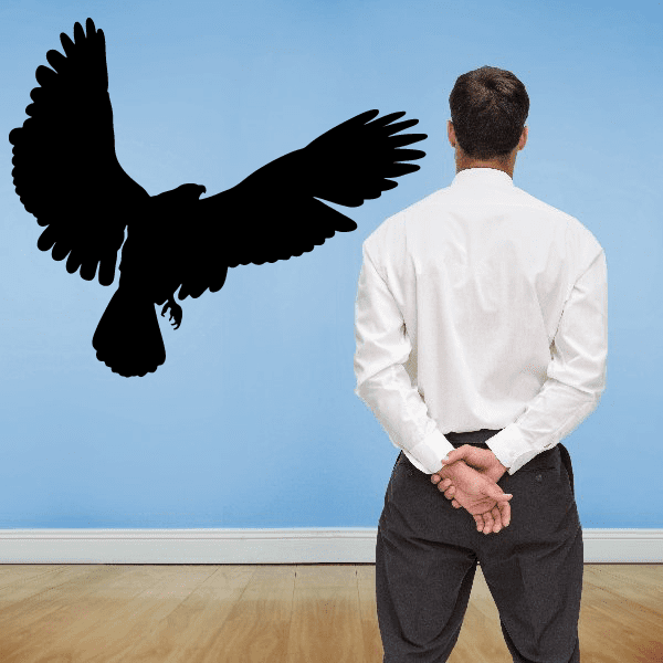 Black bald eagle hovering decal with wings spread
