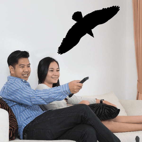 Image of Bald Eagle Soaring Decal
