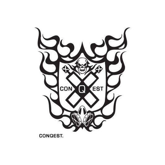 Graffiti decal with black flame border, central shield with skull and crossed motifs