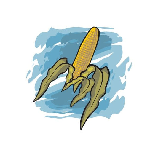 Corn on the cob die-cut decal with yellow cob and green husk on blue splash