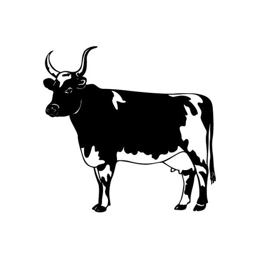 Long-horn cow wall decal, black and white standing silhouette