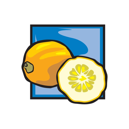 Lemon fruit sticker with whole lemon and cut slice illustration, in blue frame