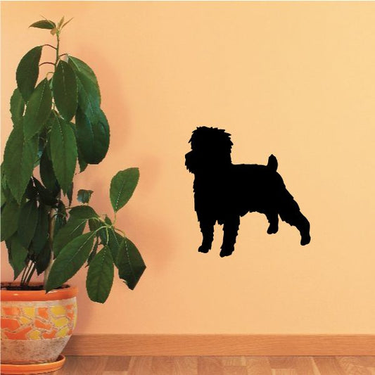 Image of Detailed Affen Pinscher Decal