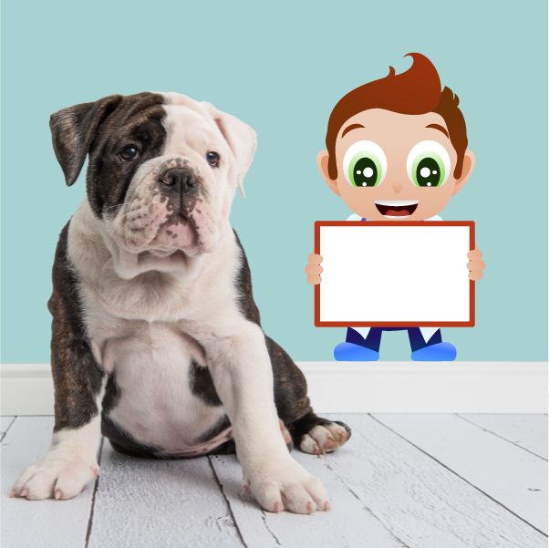 Cartoon doctor holding blank sign sticker with red border