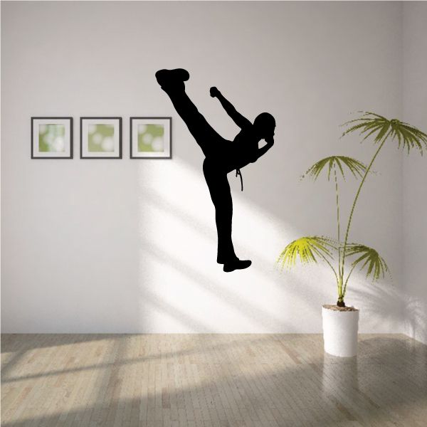 Karate high kick pose silhouette figure