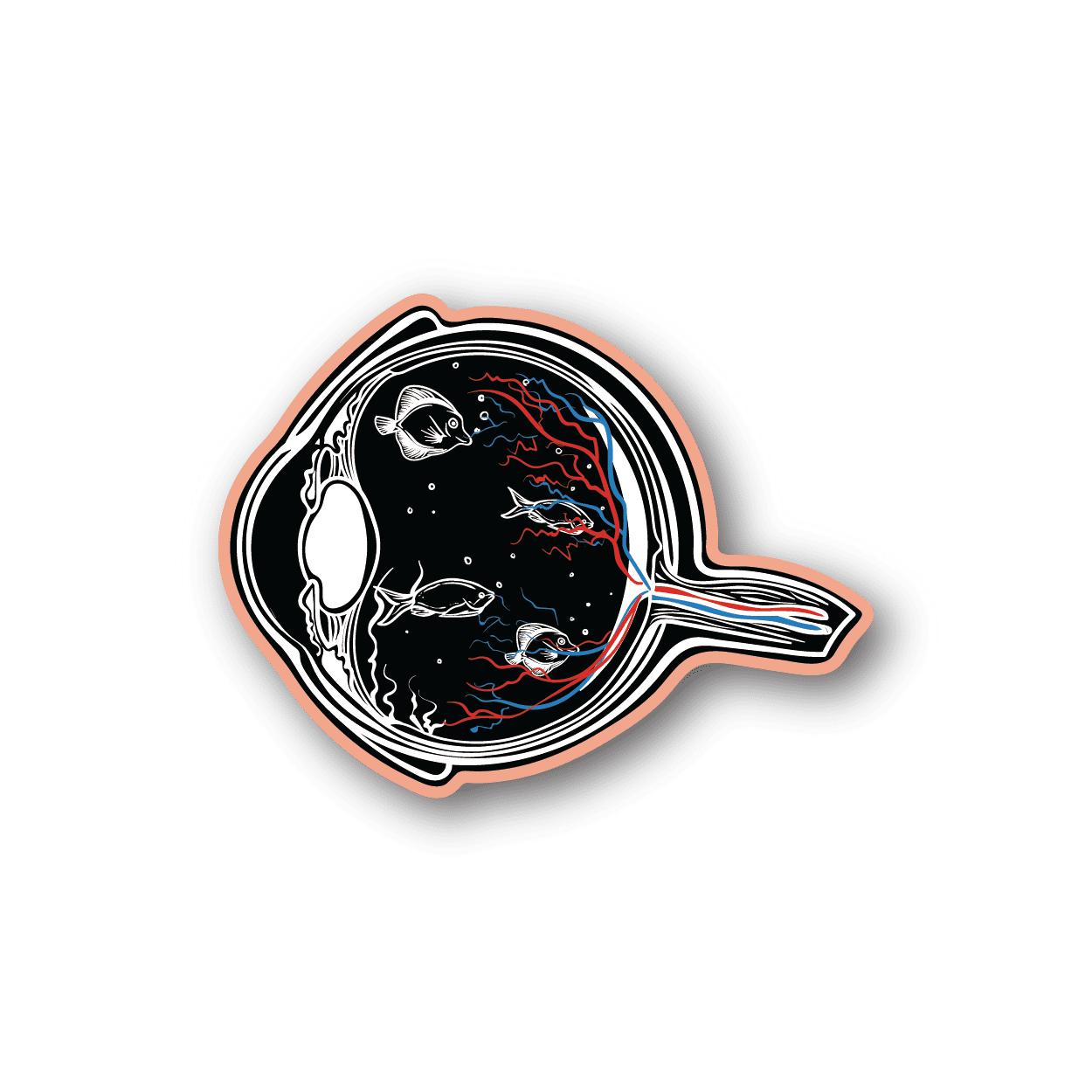 Fish eyeball vinyl sticker, circular skull-style fish with large white eye and red/blue fins