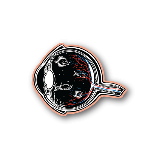 Fish eyeball vinyl sticker, circular skull-style fish with large white eye and red/blue fins