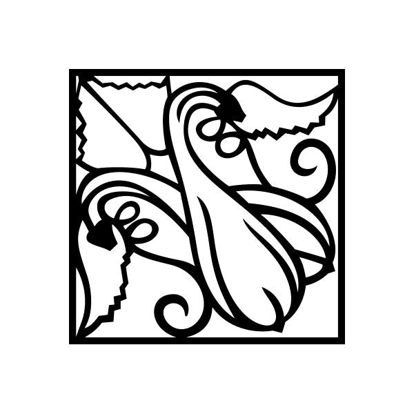Framed square squash decal in black line art, clustered leaves and striped bulbs