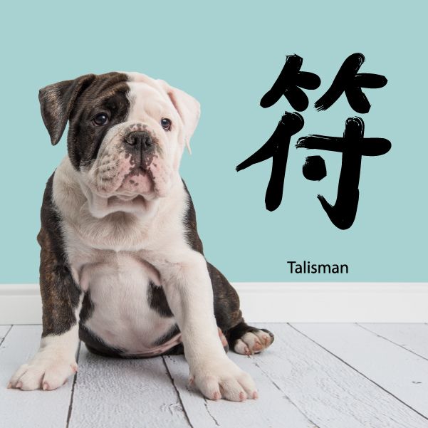 Image of Kanji Talisman Wall Decal - Vinyl Car Sticker - Uscolor029