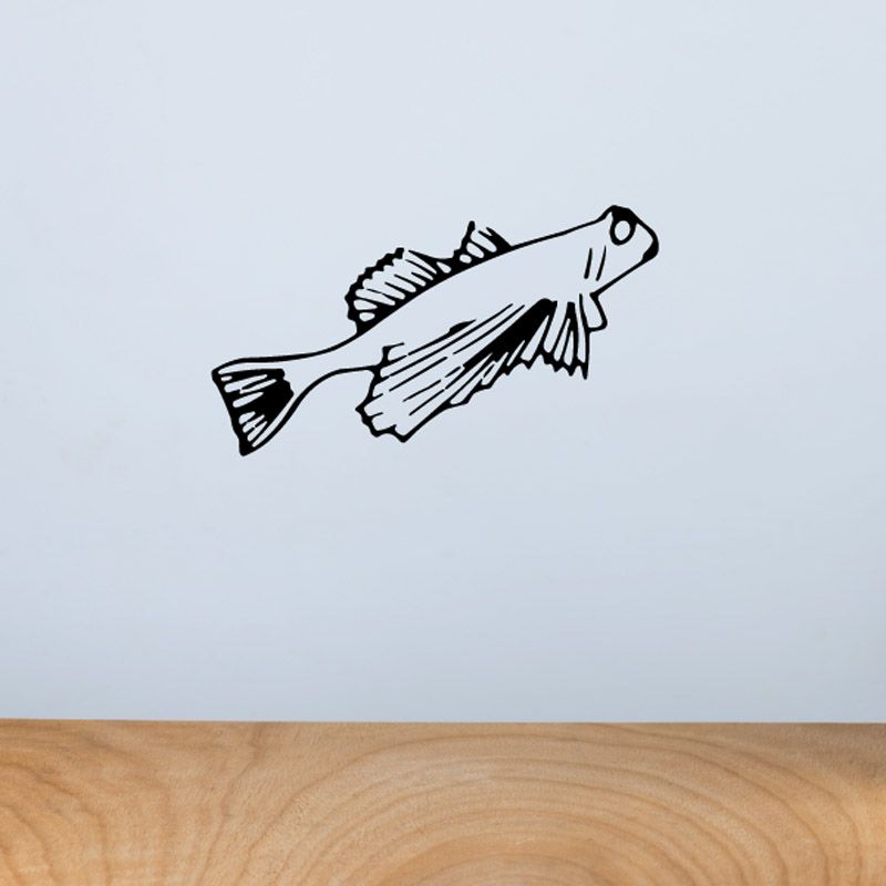 Mudskipper fish decal in black and white line art