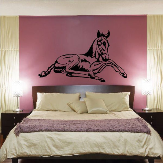 Sitting foal wall decal with black horse silhouette