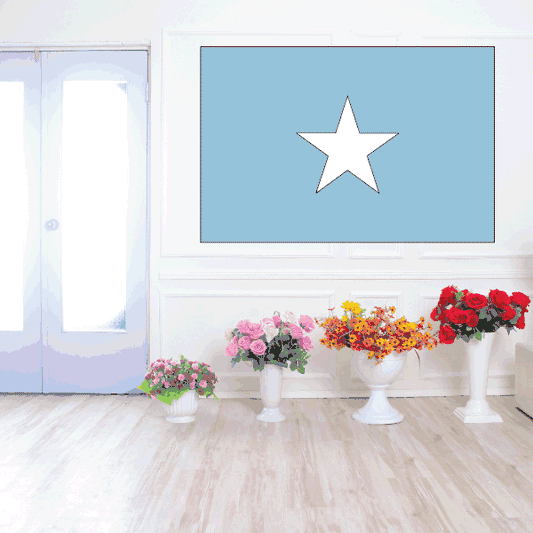 Image of Somalia Flag Sticker