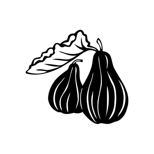 Pumpkin and squash decal in black line art, two striped bulbs with stems