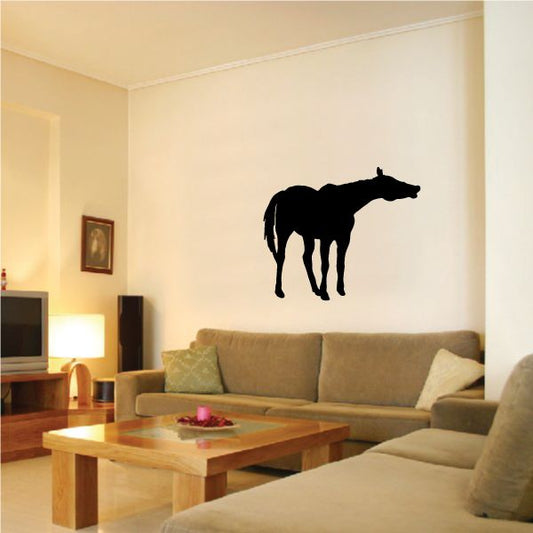 Black rearing horse wall decal with stretched neck shape, matte silhouette.