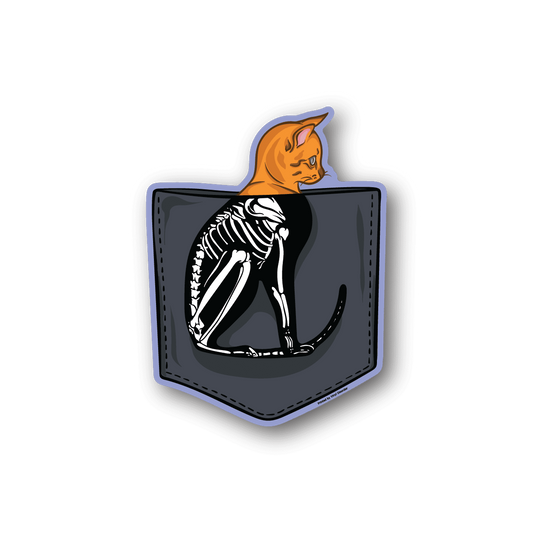 Cat x-ray vinyl sticker: orange cat and white skeleton in shield