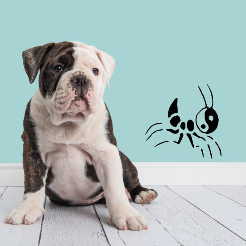 Black yin-yang cricket head decal with legs and antennae