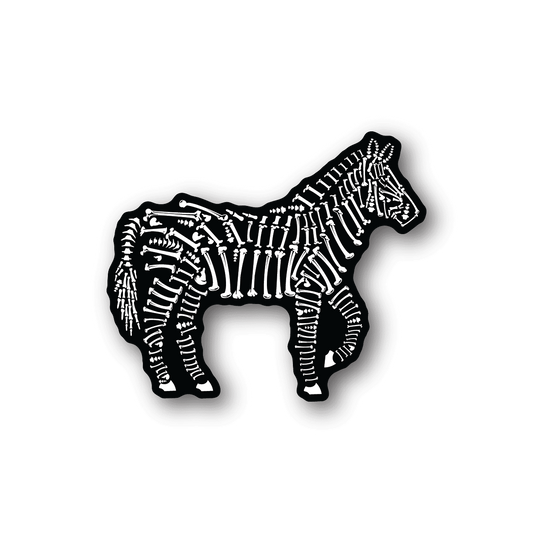 Zebra bones vinyl sticker with white skeleton print on dark backing