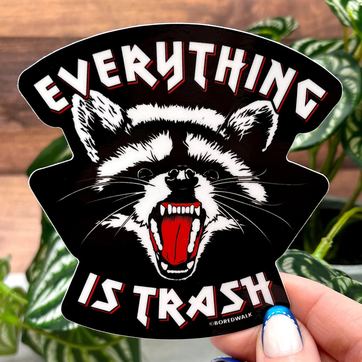 Boredwalk's Everything Is Trash Raccoon Die Cut Sticker photographed as a finished sticker