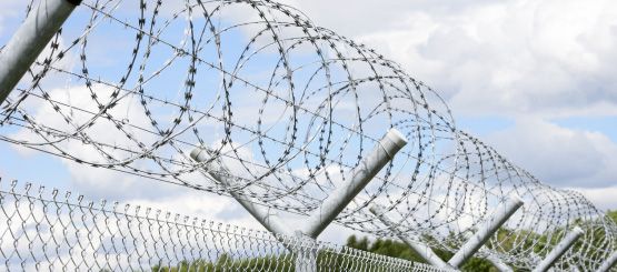 Barbed Wire Decals