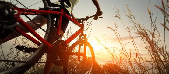 Bicycle Decals