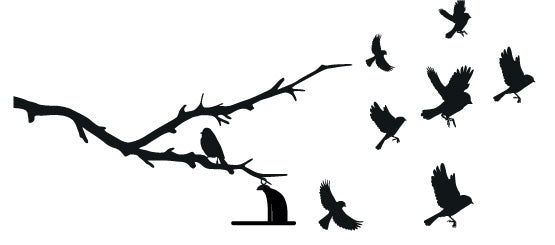 Bird Design & Accent Decals