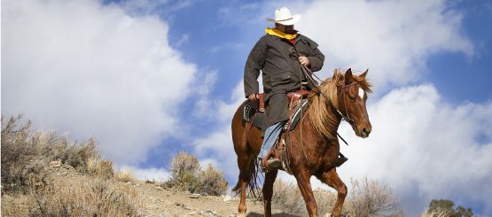 Caballero & Gaucho Decals