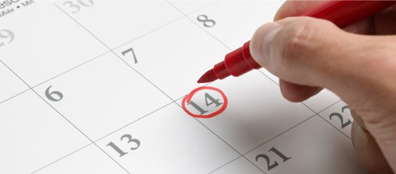 Calendar Decals