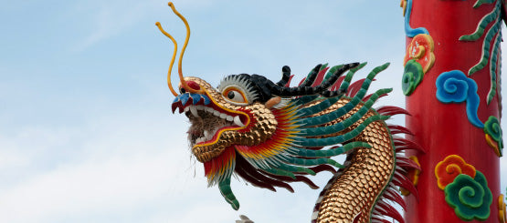 Chinese Dragons