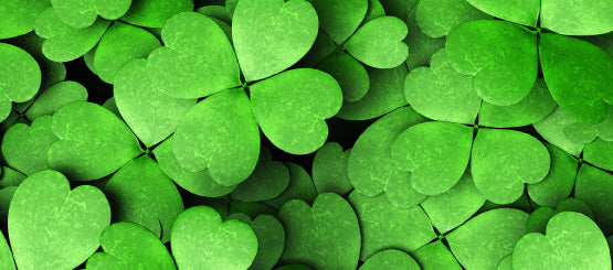 Clover Decals