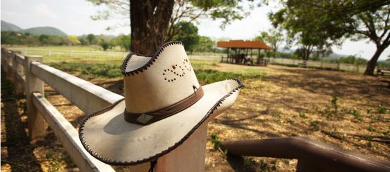 Cowboy Hat Decals