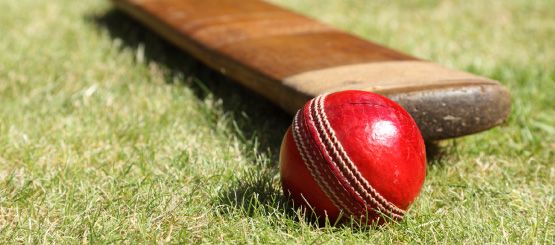 Cricket Decals