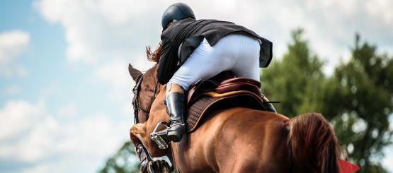Equestrian Decals