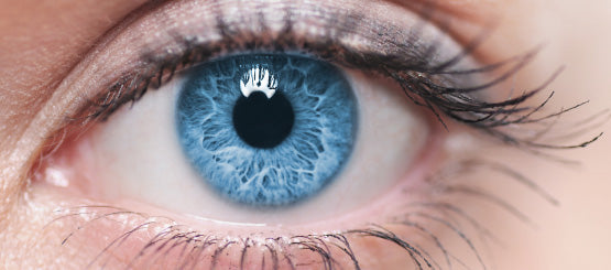 Eye Decals and Stickers