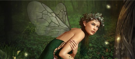 Fairies Decals