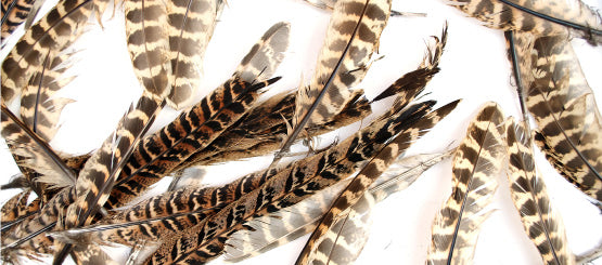 Feather Decals