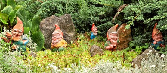 Gnome Decals