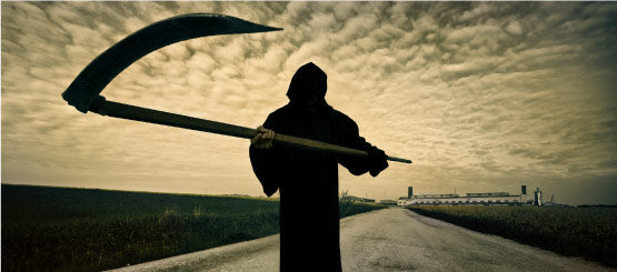 Grim Reaper Decals