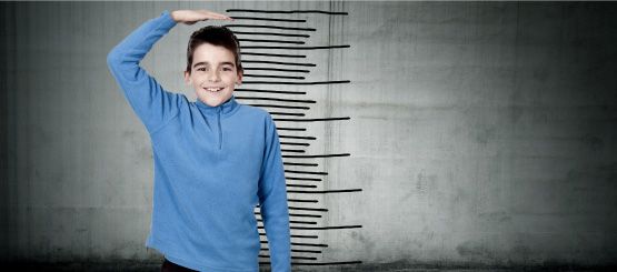 Growth Chart Decals
