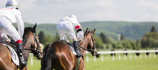 Horse Racing Decals