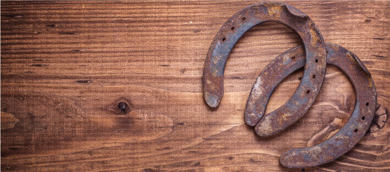 Horseshoe Decals