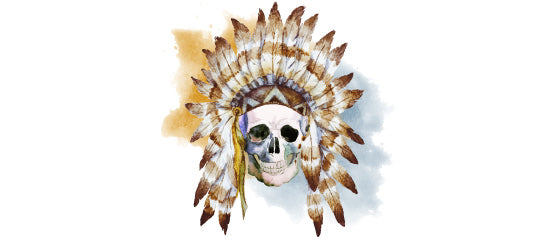 Indian Skull Decals